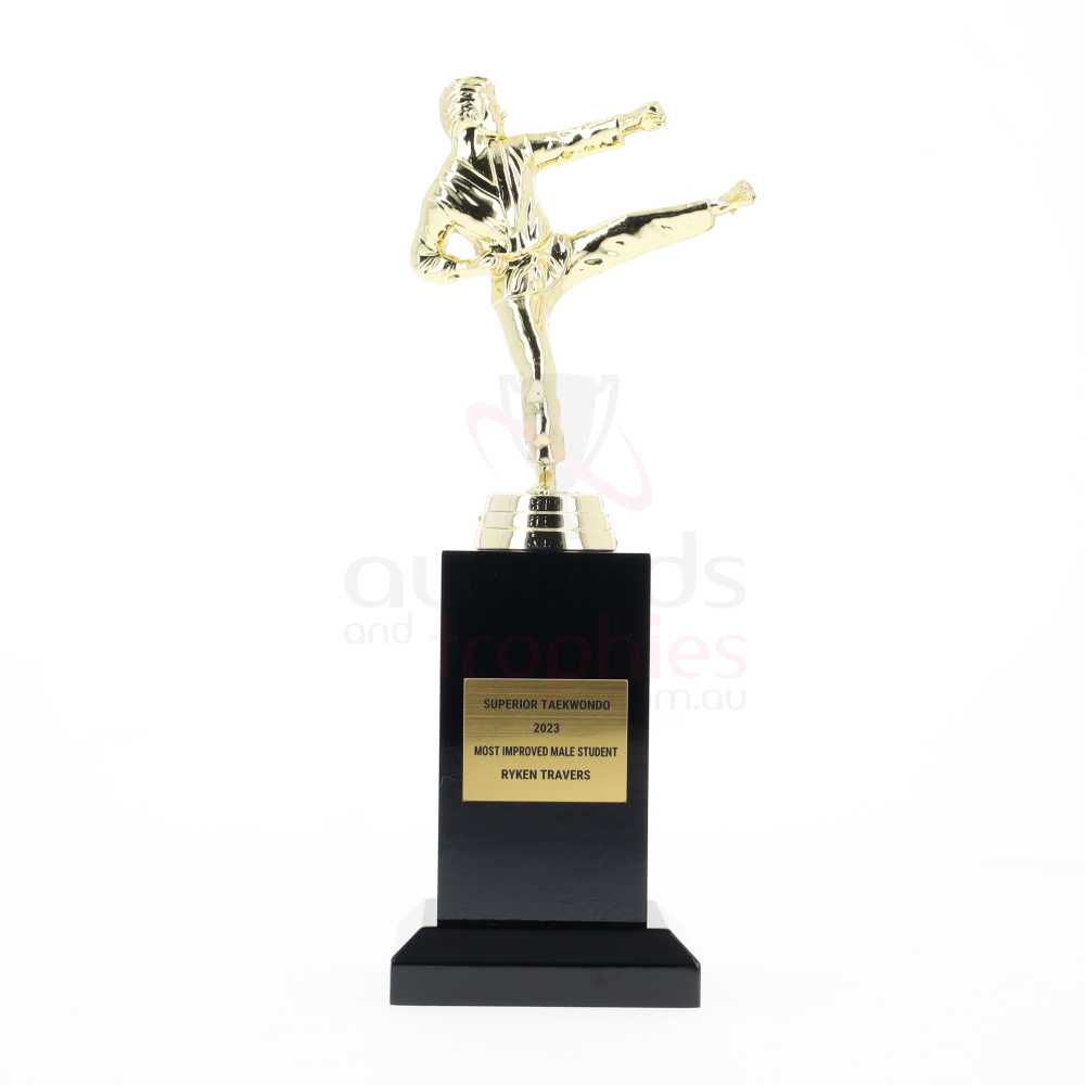 Karate Action Fig Male 230mm